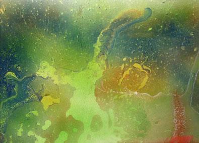 image immagine-16-jpg