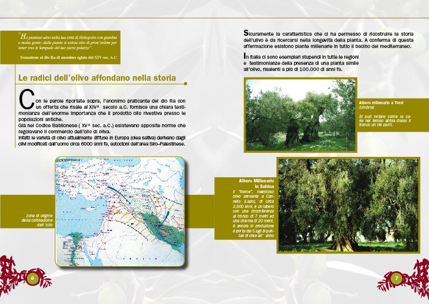 image olio_04-jpg