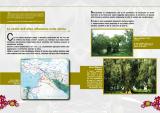 image olio_04-jpg