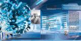 image paf2-3_m-klome-def2-jpg